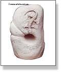 Plaster and Stone Gecko