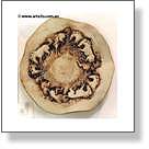 Ceramic Horse Platter