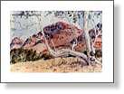 Flinders Ranges