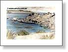 Gaudy Bay Sketch