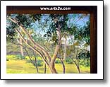 Mural-dairy.farm.trees.detail