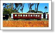 Train Windows